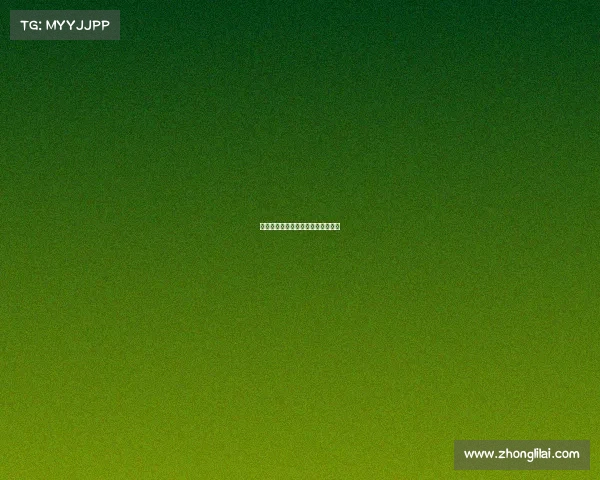 《银光加冕：电竞亚军的荣光之路》